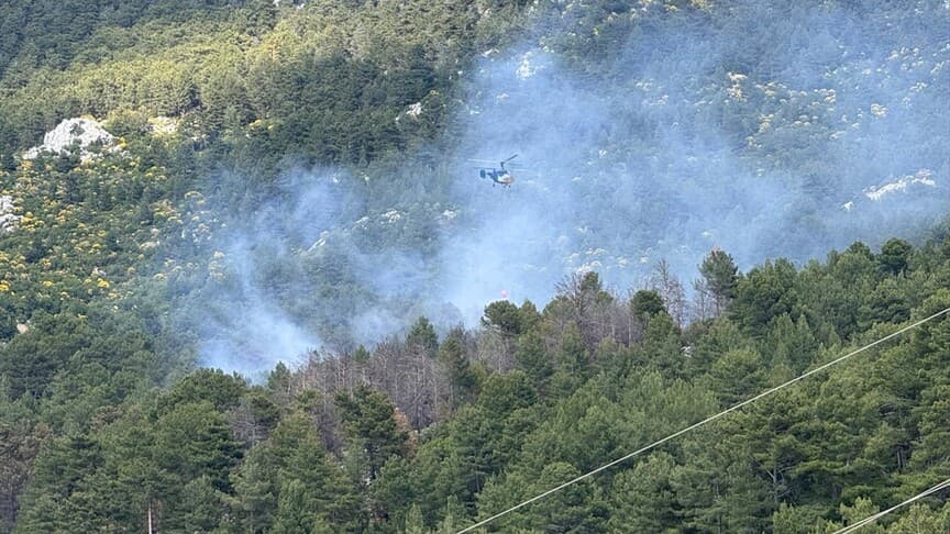 Kaş'ta Orman Yangını Başladı