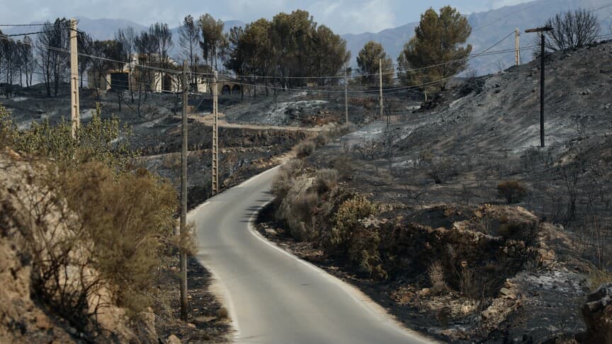 İspanya'nın Almeria İli Orman Yangını Sonrası Çalışmalar Devam Ediyor