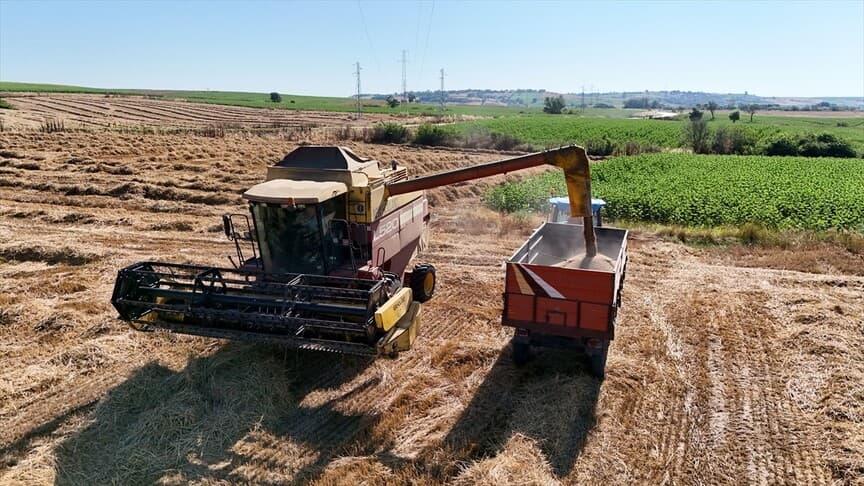 Trakya'da Buğday Hasadı Devam Ediyor