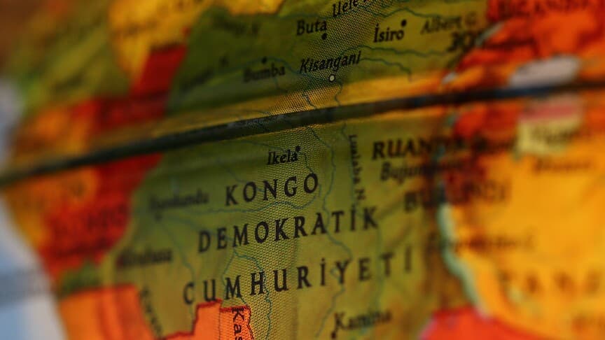 Kongo Demokratik Cumhuriyeti'nde yeni bir maymun türü tespit edildi