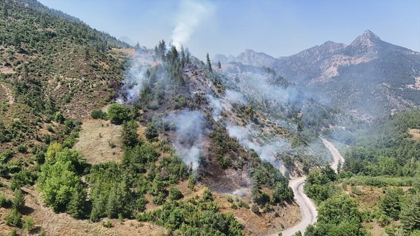Adana Feke'de Orman Yangını Başladı