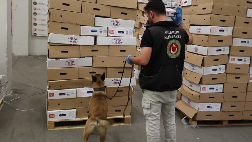 Kapıkule'de 1,2 Ton Uyuşturucu Yakalandı