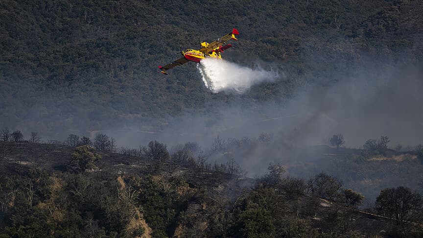 Fransa'da Orman Yangınlarıyla İlgili 59 Kişi Gözaltında
