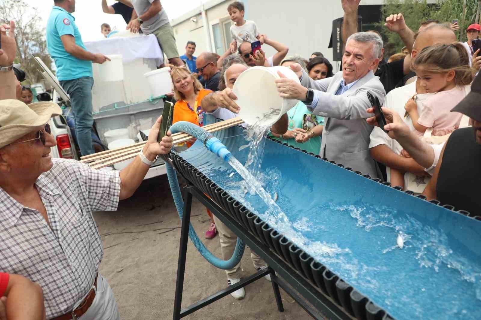 Bodrum'da Balık Festivali İçin Tarihler Belirlendi: BoBaFest 2-4 Ekim'de Akyarlar Karaincir Koyu'nda
