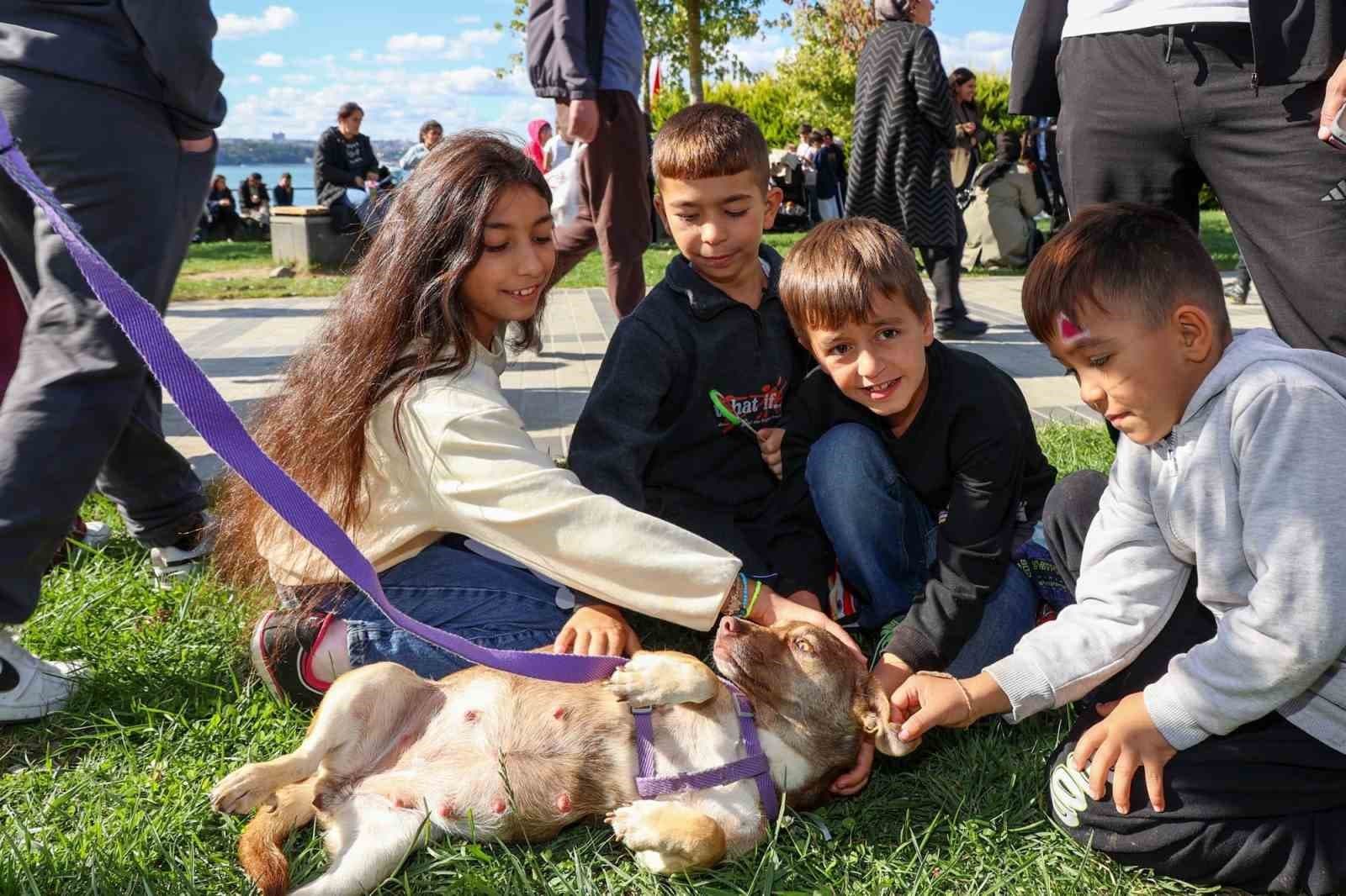Beykoz Yaşam Festivali, 4 Ekim Dünya Hayvanları Koruma Günü'nde Hayvanseverlerle Buluştu