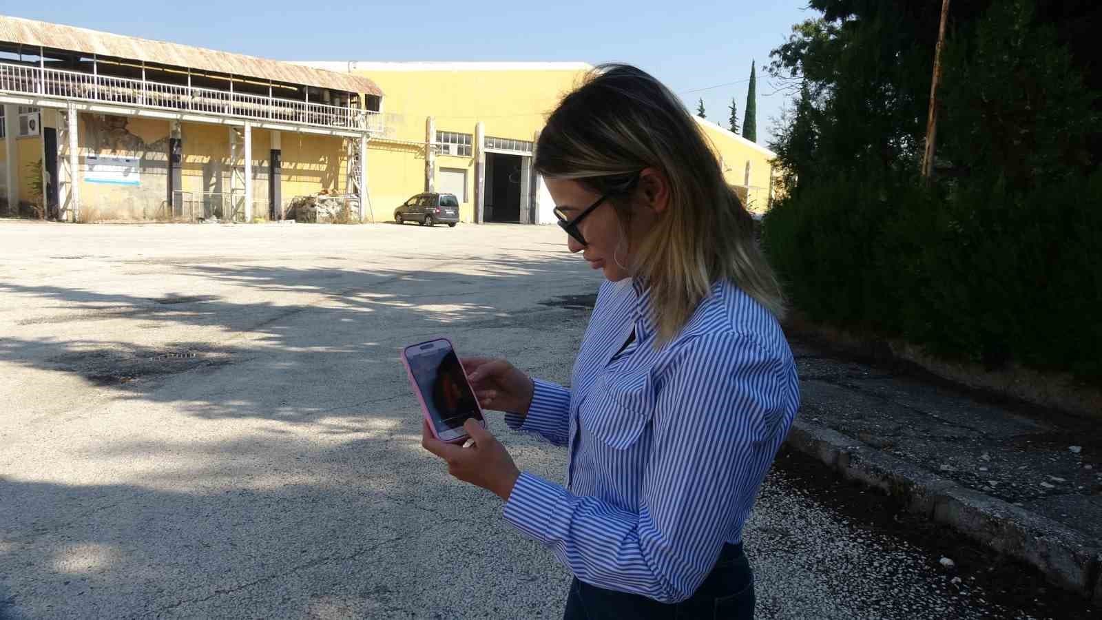 Sokaktan Gelen Ses Takibi: Bir Kadının Duyarlılığı Yavru Kediyi Kurtardı