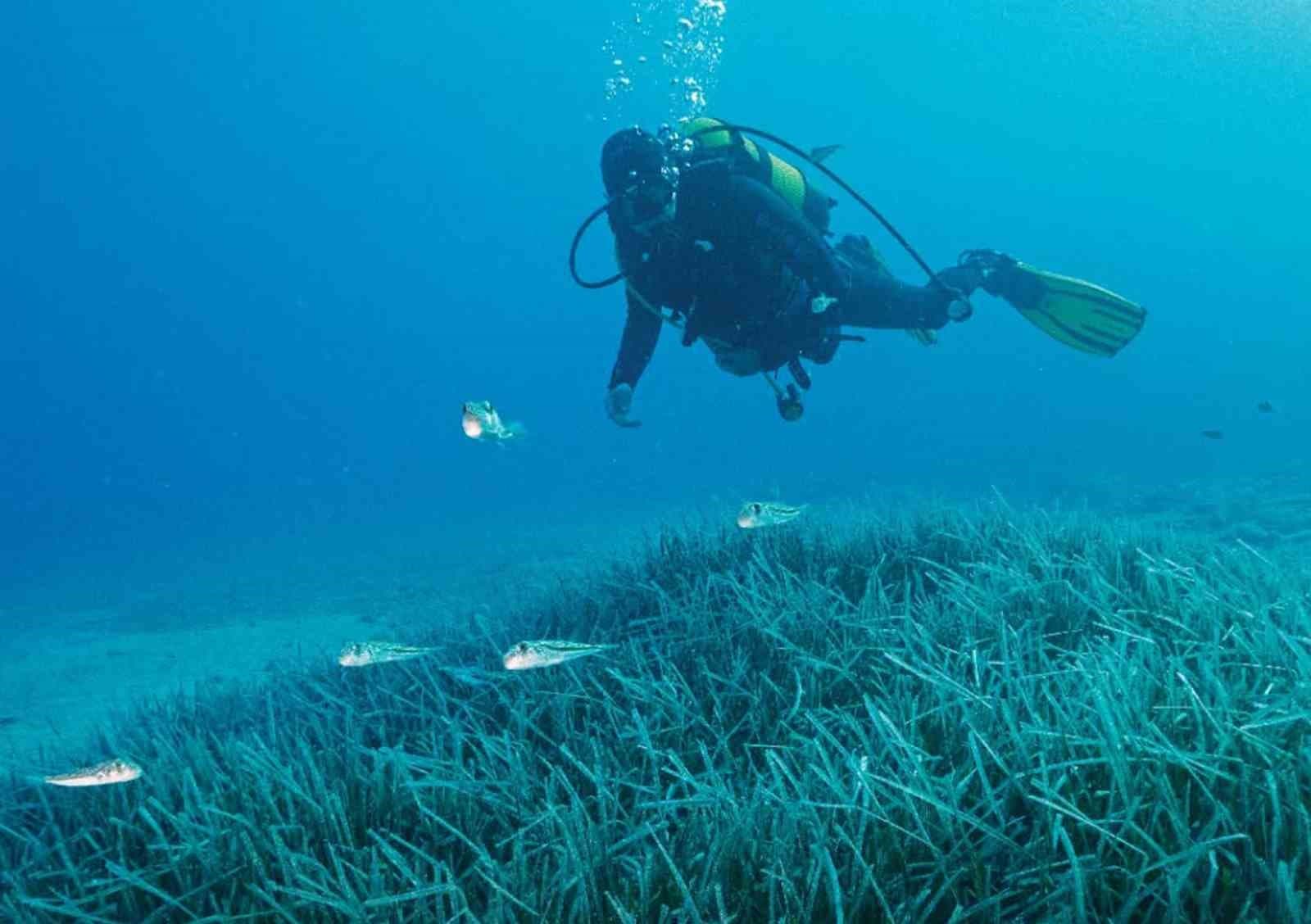 Türkiye'nin İlk Deniz Milli Parkı Fethiye-Kaş ve Kuzey Ege Bölgesinde Resmileşti