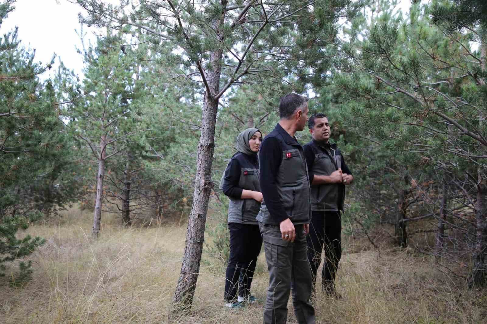 Kars'a Yeni Yeşil Alan Geliyor: Kent Ormanı İçin Çalışmalar Başlatıldı