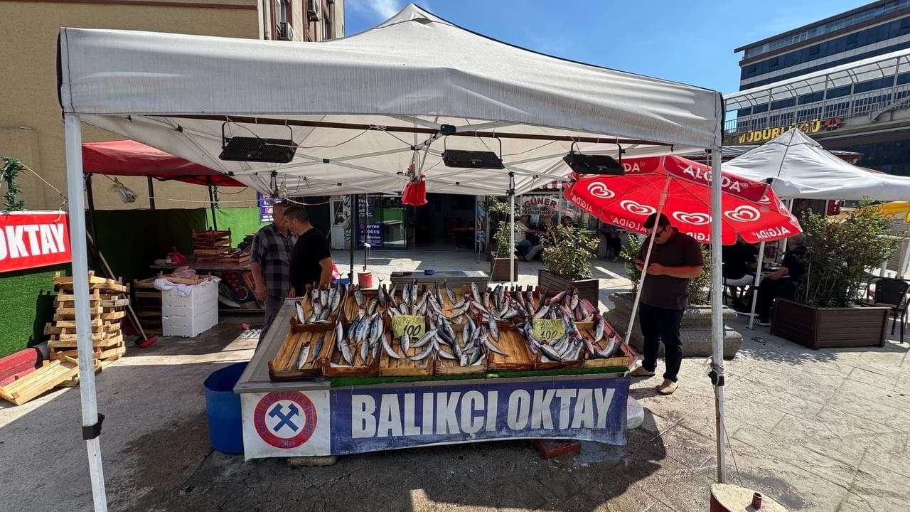 Balıkçılardan Yeni Sezon Tahmini: Denizde Yoğun Balık Bolluğu Bekleniyor