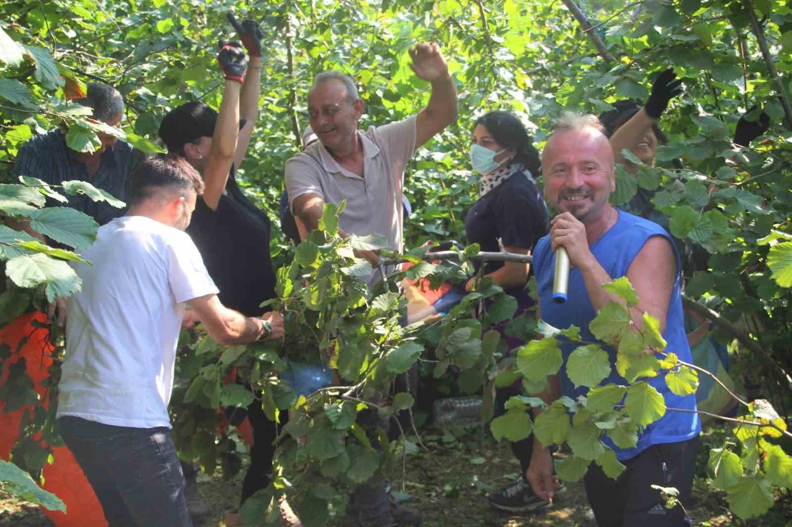 Ordu Fındık Bahçesinde Anadolu Rock Konseri Gerçekleştirildi
