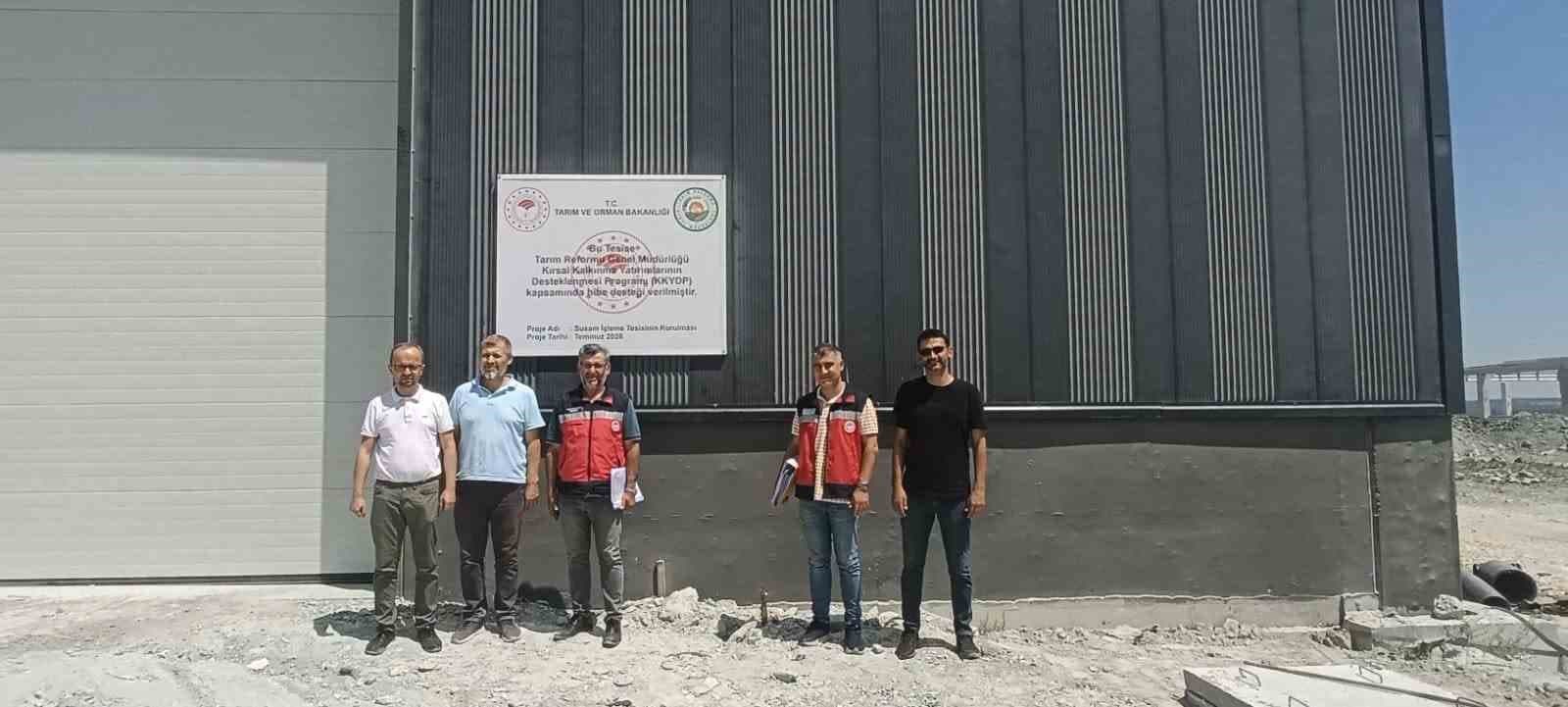 Kütahya'da Yeni Susam İşleme Tesisi Devreye Giriyor