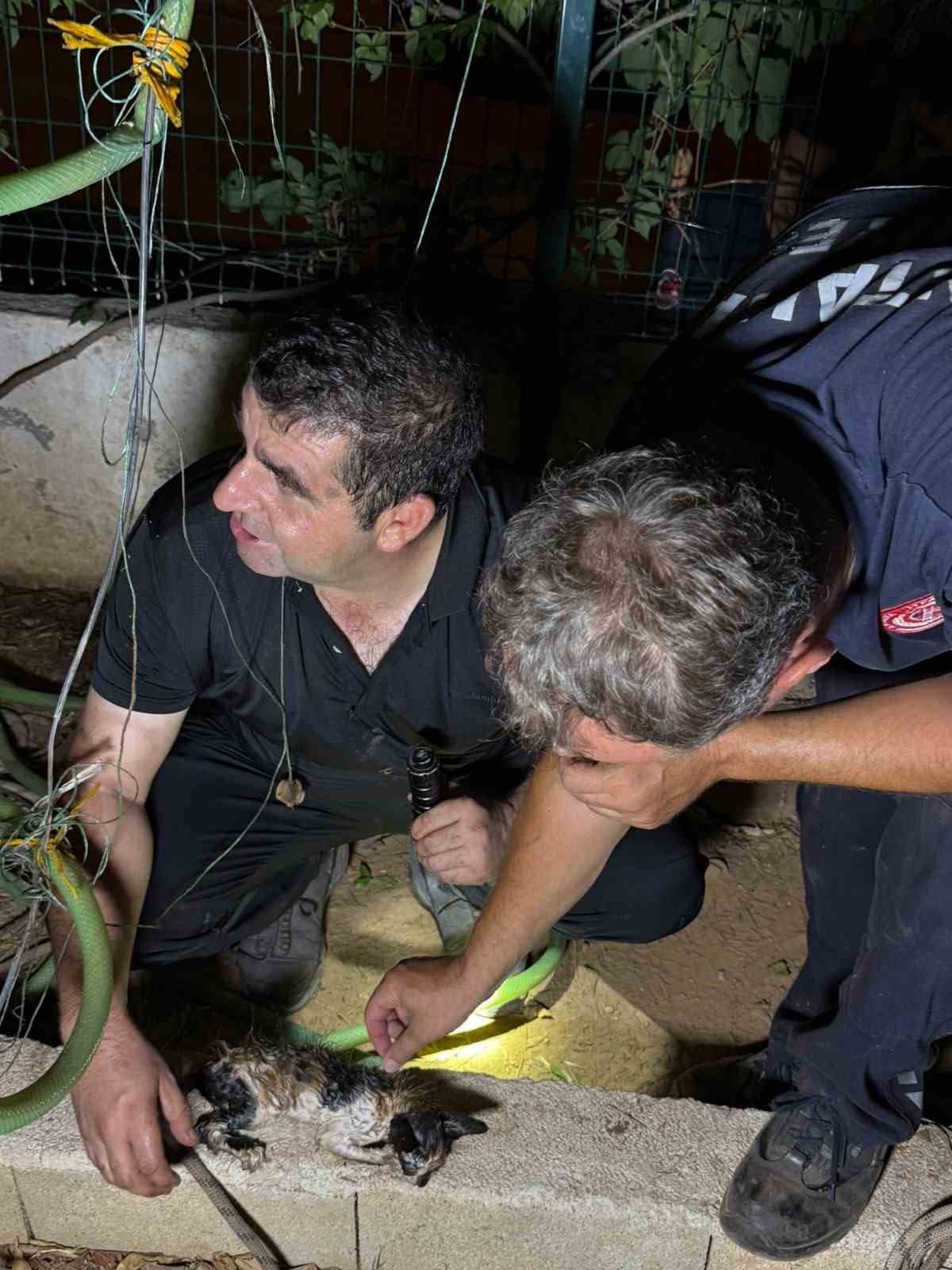 30 Metrelik Sondaj Kuyusuna Düşen Yavru Kedi, İtfaiyenin Beş Saatlik Titiz Operasyonuyla Kurtarıldı
