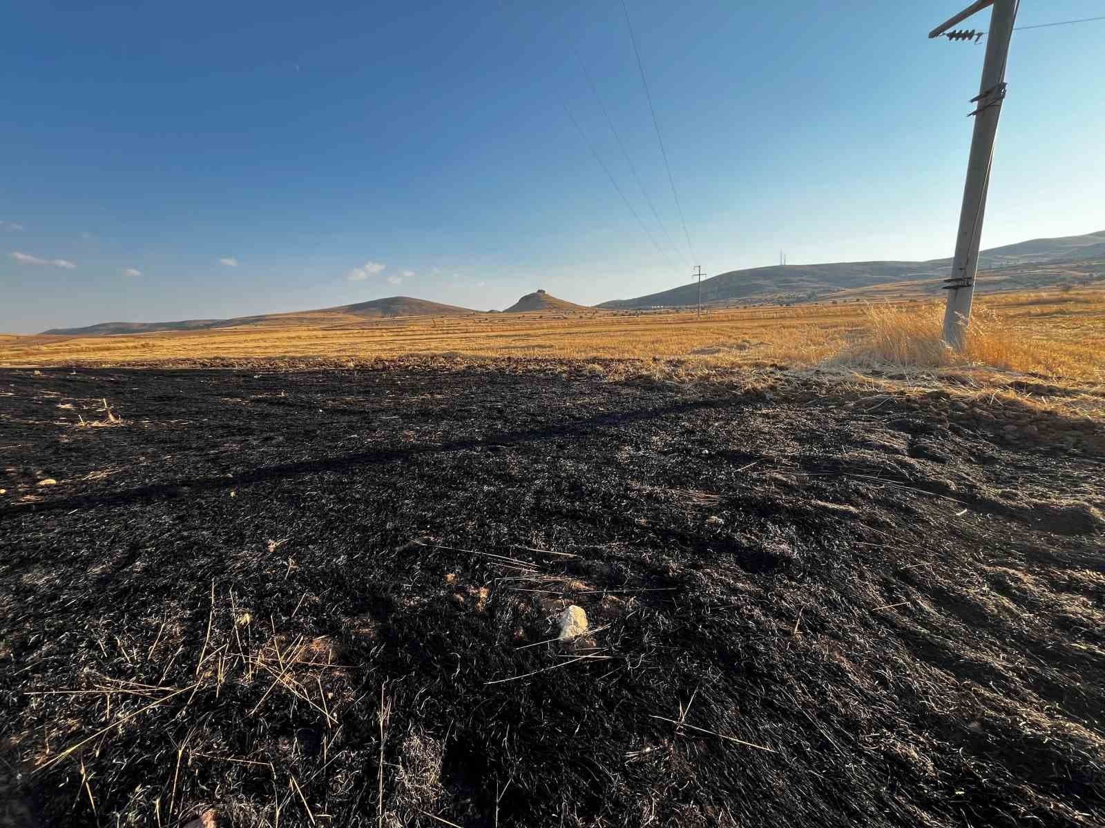 Elektrik Tellerinden Çıkan Anız Yangını Mahalle Sakinleri Tarafından Kontrol Altına Alındı