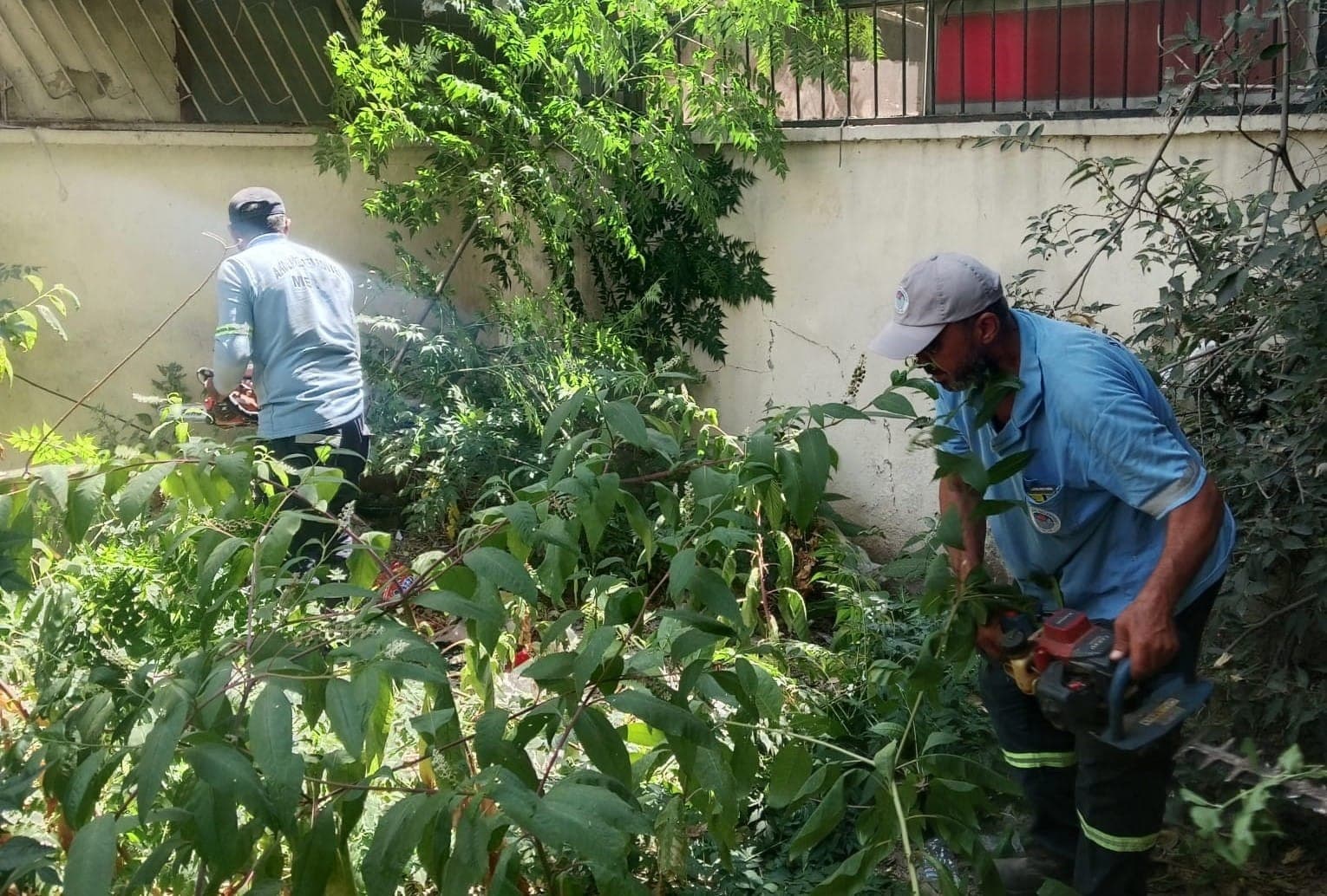 Mersin Akdeniz'de Yeşil Alanlarda Yoğun Bakım ve Onarım Faaliyetleri Devam Ediyor