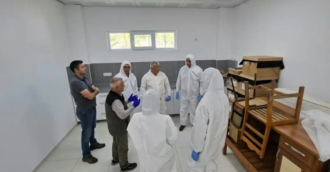 Kestane Gal Arısı Mücadelesinde Biyolojik Stratejiler Geliştiriliyor