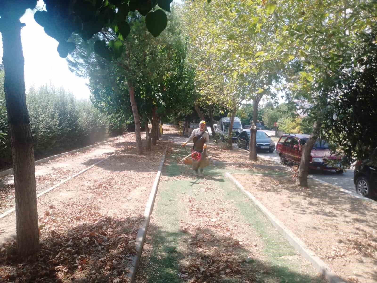 Köşk'te Yeşil Alanlarda Düzenleme Faaliyetleri Devam Ediyor