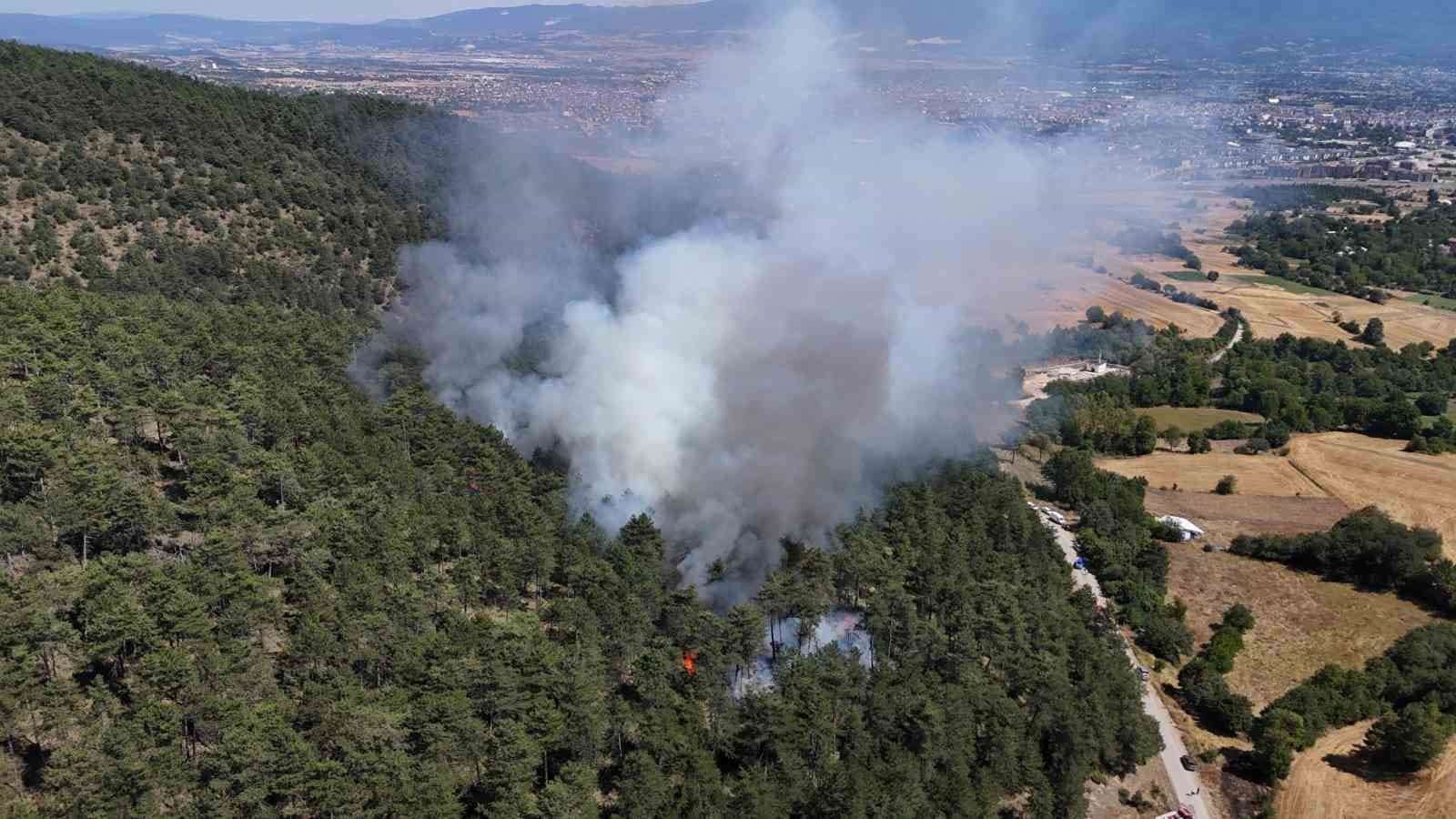 Bolu'da Kızılağıl Köyü Ormanında Yangın Çıktı
