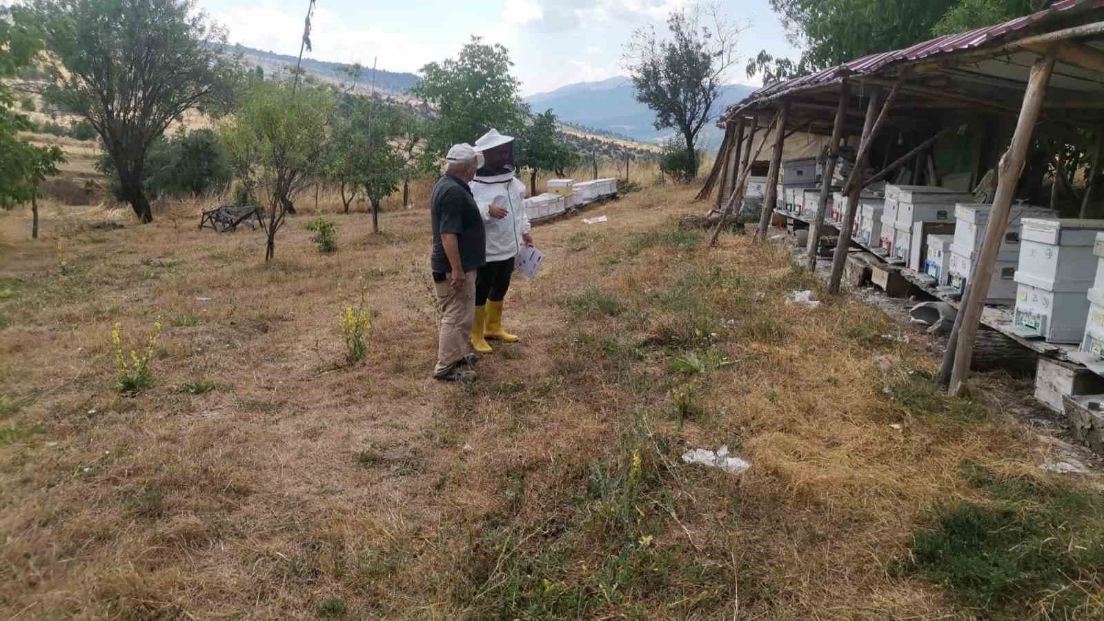 Emet'te Arılı Kovan Tespiti Çalışmaları Yapıldı