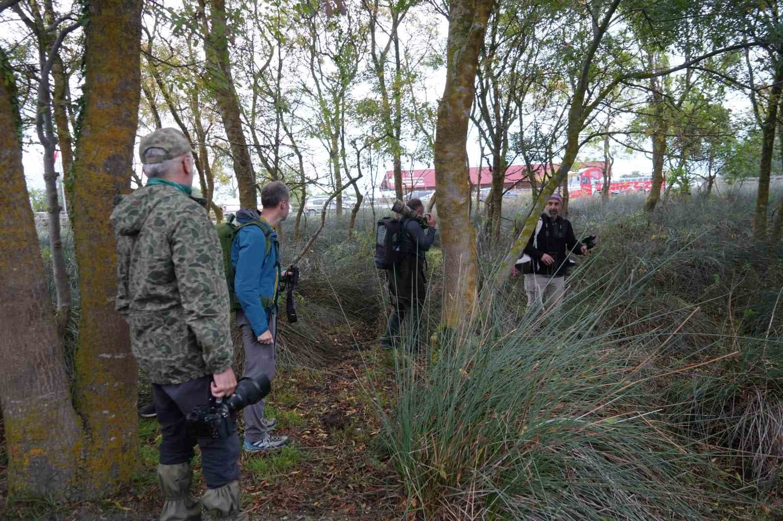 Türkiye’de birkaç yılda bir görülen ‘çalıkuşu çıvgını’ Samsun’da objektiflere yansıdı