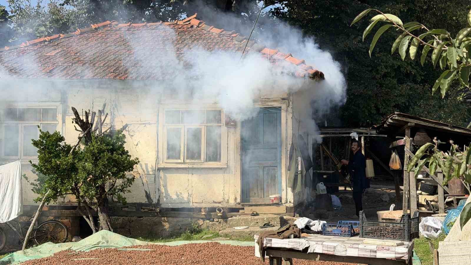 Kokarca Böceği Saldırısı: Sakarya Ferizli'de Tarımsal Kayıplar ve Çözüm Yolları