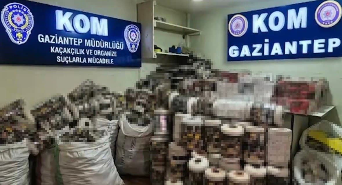 Gaziantep’te 14 bin paket kaçak sigara ele geçirildi: 1 gözaltı