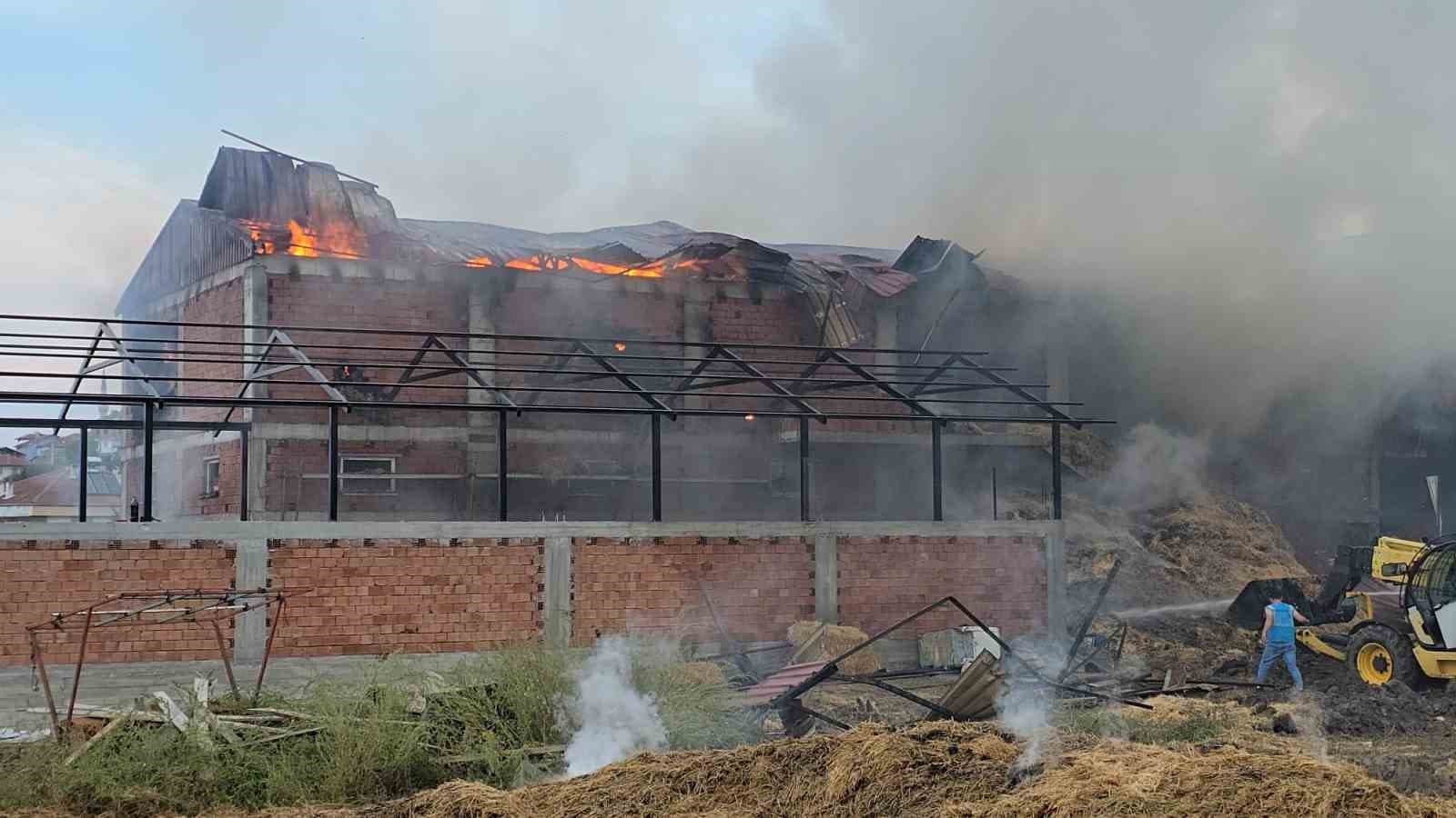 Samsun'da Kaynak Çalışması Sırasında Başlayan Yangın Samanlığı Tutuşturdu