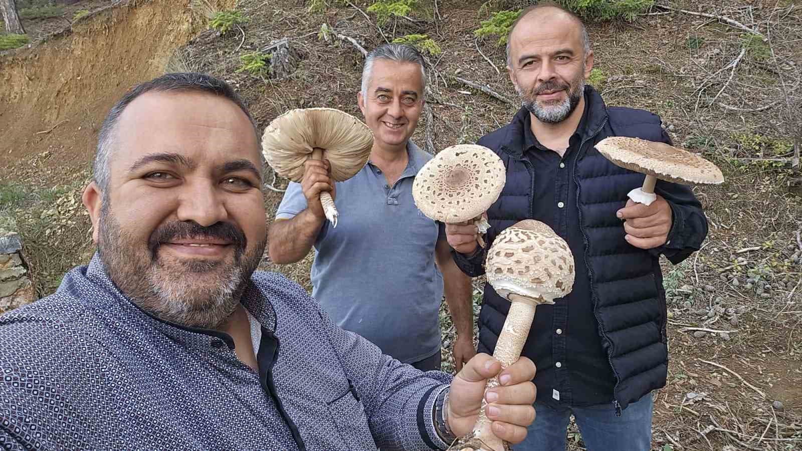 Ormanlık Alanda Farklı Bir Mantar Hasadı Gerçekleşti