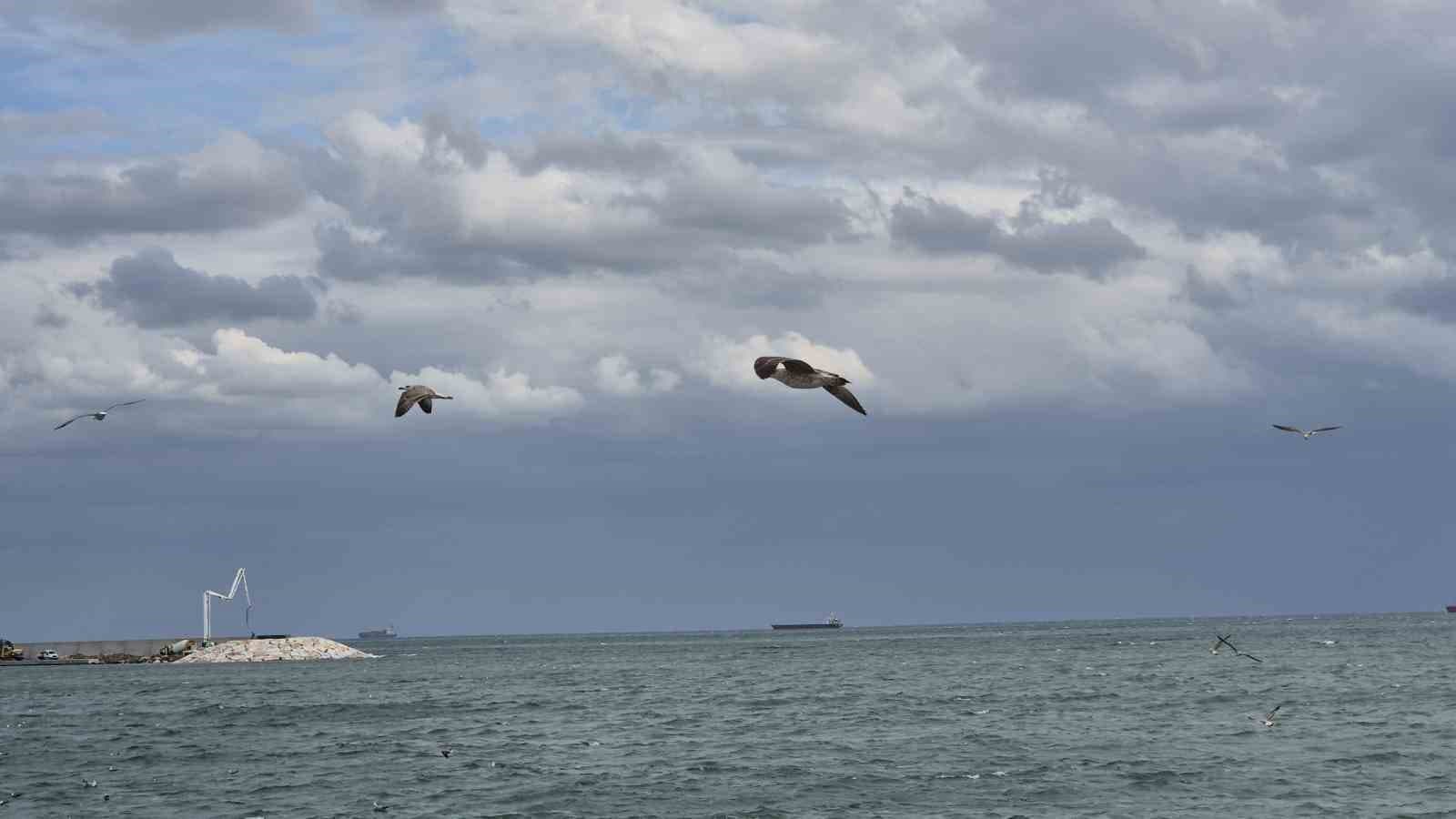 Tekirdağ’da 'Kestane Karası' Fırtınası Deniz Faaliyetlerini Etkiledi