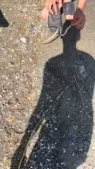 Yılanı Yakalayan Kişi, Arkadaşını Kovaladı