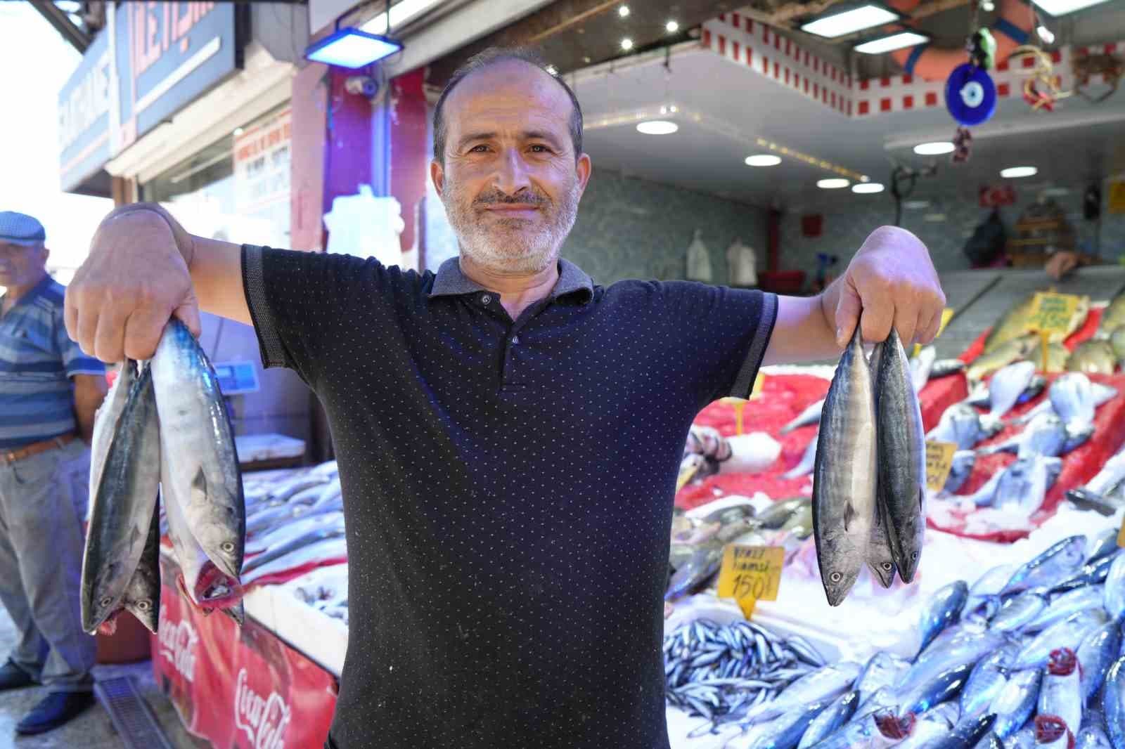 Karadeniz'de Palamut Bolluğu: Uzun Süredir Kaydedilmeyen Yoğunluk