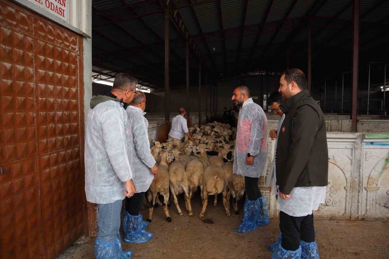Karapınar'da Kesimhaneler Kontrol Edildi