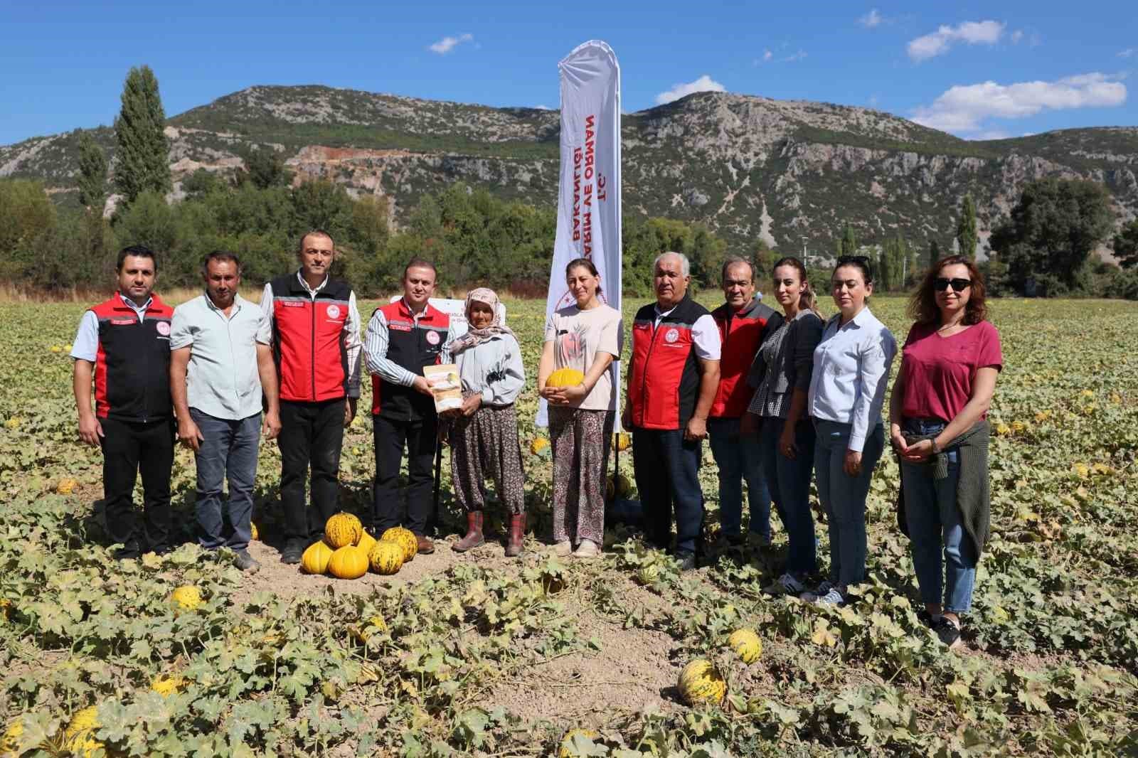 Menteşe Karabağlar Yaylası'nda Yöresel Ürünlerin Hasadı Gerçekleştirildi