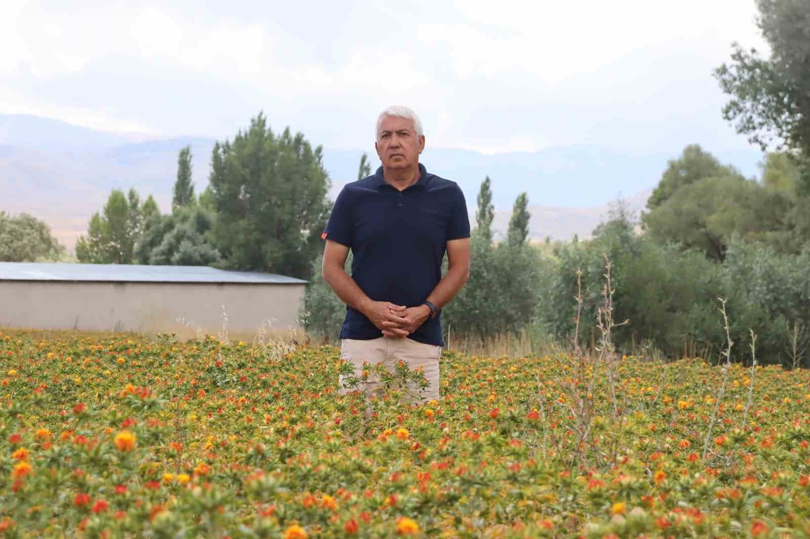 35 Yıllık Kamu Kariyerini Bitiren Kolukısa, Aspir Üretimine Girişimi Başlattı