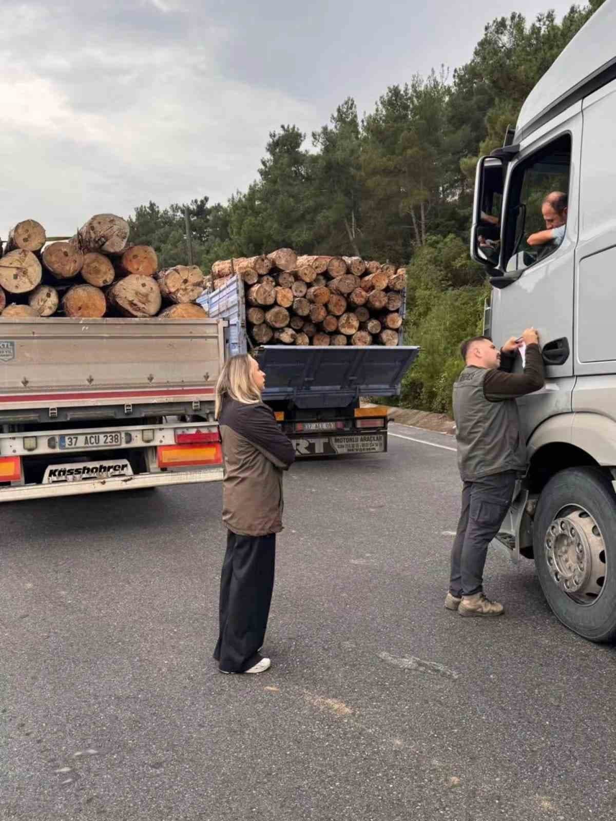 Sinop’ta orman ekipleri yasa dışı faaliyetlere karşı teyakkuzda