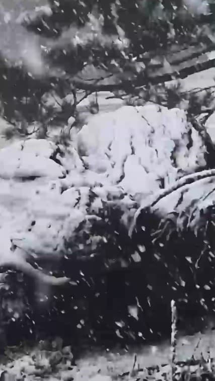 Muğla’ya sezonun ilk karı yağdı