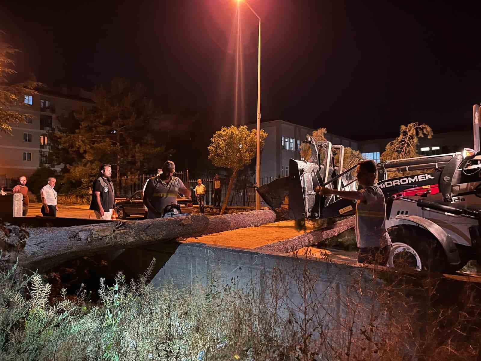 Çorum'da Şiddetli Rüzgar Ağacı Yola Devirdi