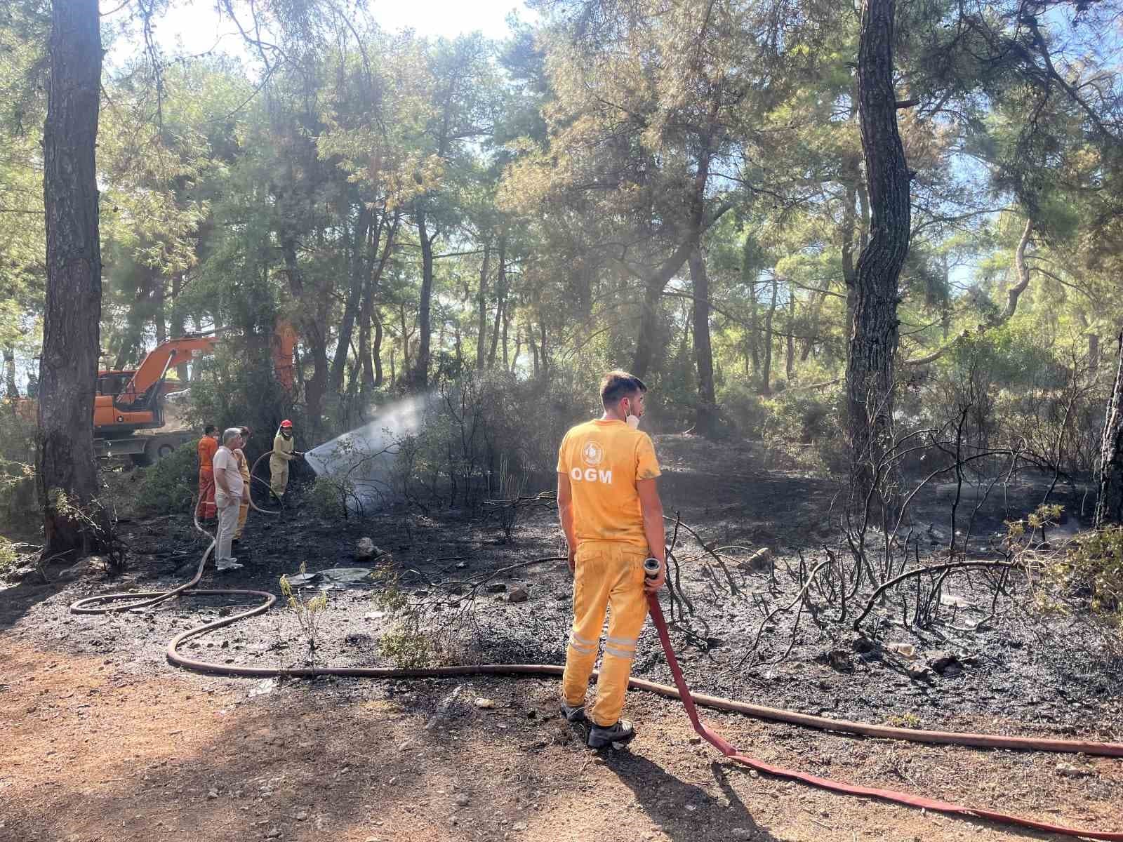 Antalya'da Orman Yangını Kontrol Altına Alındı: Soğutma Çalışmaları Sürüyor