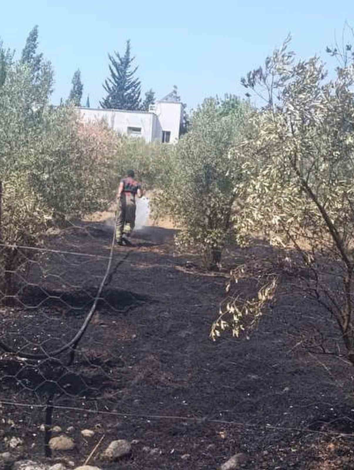 Dörtyol'da Bahçe Yangını Çevreye Sıçramadan Kontrol Altına Alındı