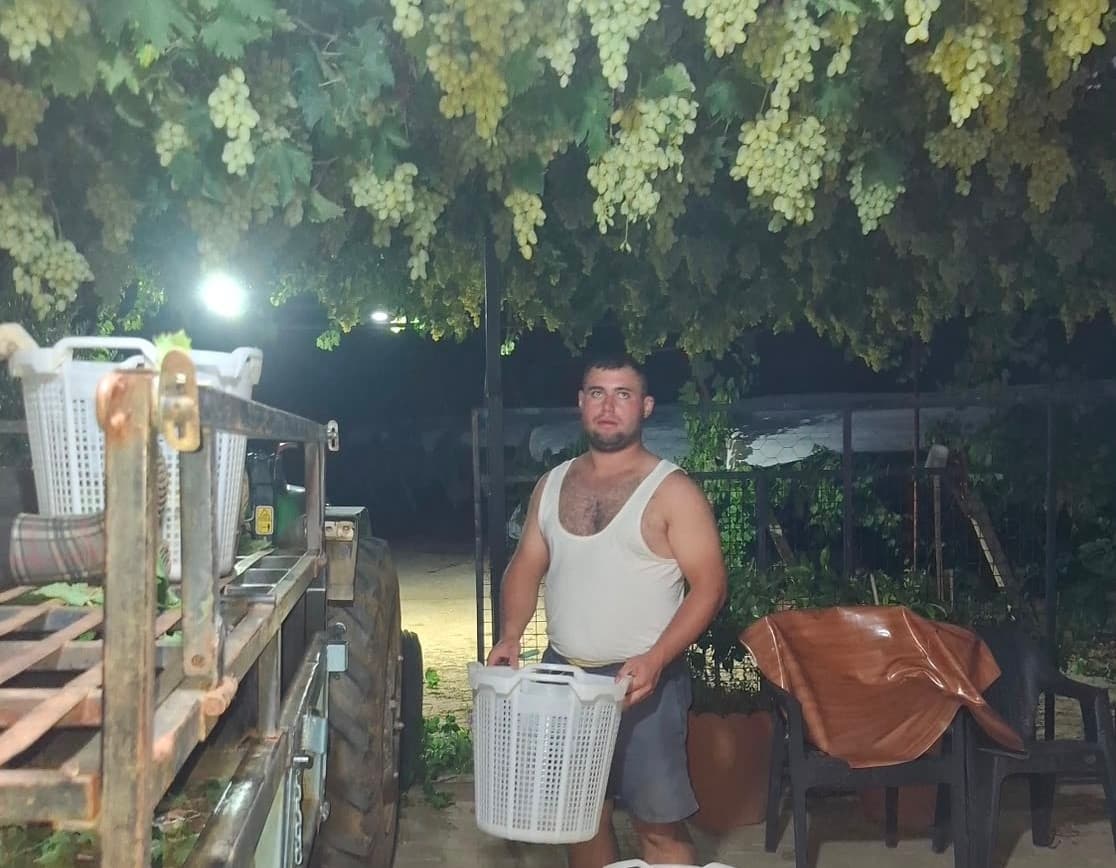 Sarıgöl'de Üzüm Hasadı İçin Gece Çalışması: Taze Ürünlerin Pazarlara Ulaştırılması