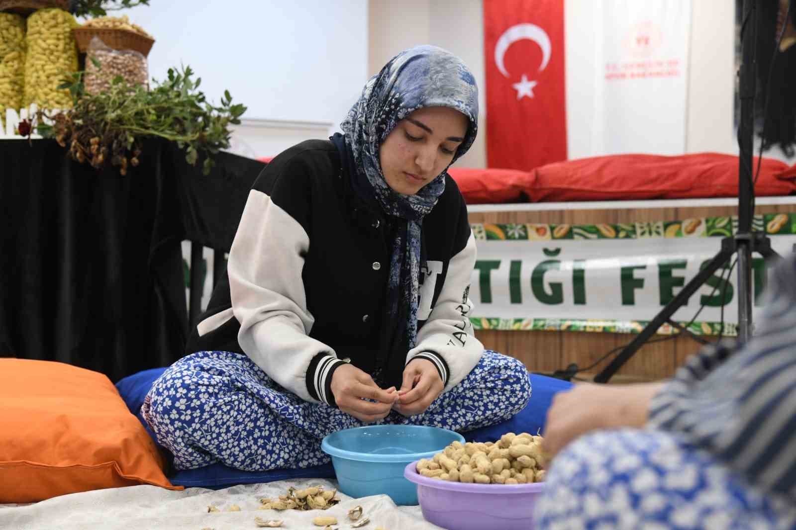 Osmaniye’de üniversiteli kızlar fıstık kırma yarışmasında kıyasıya mücadele etti