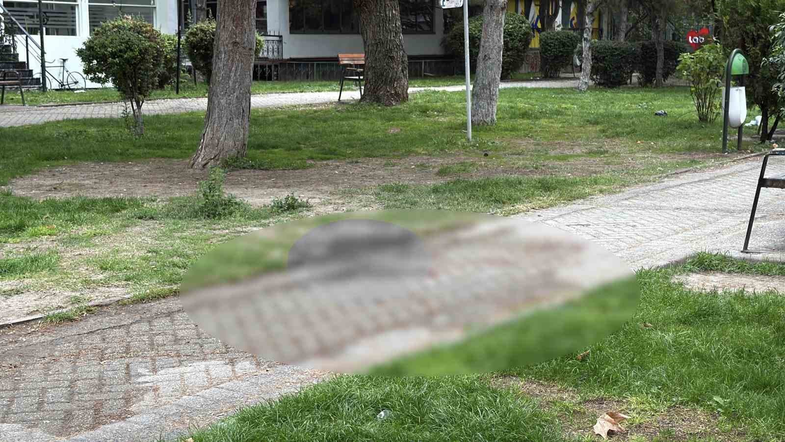 Alkol Tartışması Kanlı Bitti: Eskişehir'de Cinayet