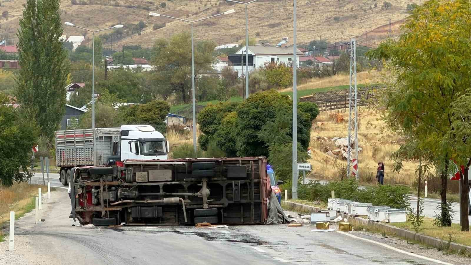 Malatya-Adıyaman Yolunda Arı Yüklü Kamyon Devrildi: İki Kişi Yaralandı