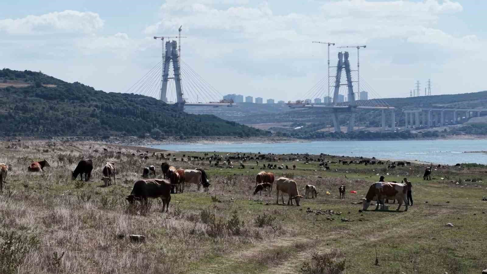 İstanbul Barajlarında Kuraklık Durumu: Sazlıbosna'da Doluluk Oranı %48'in Altına Düştü