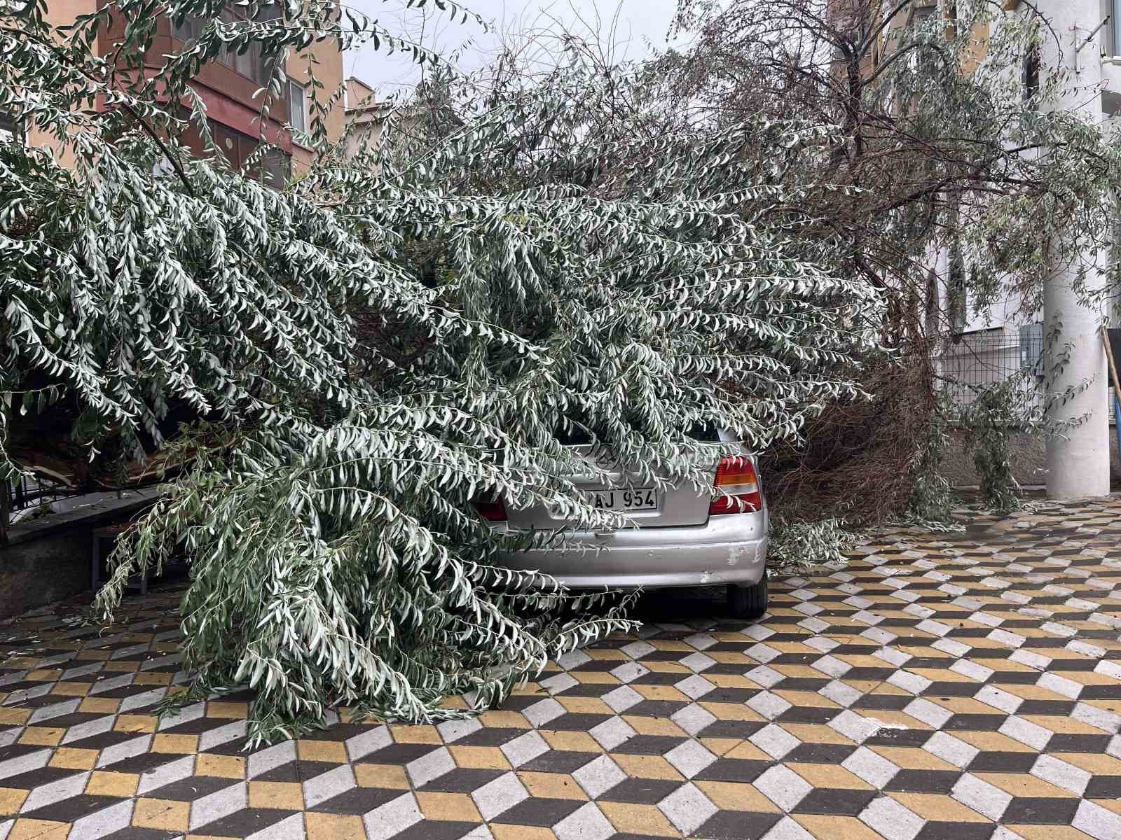 Niğde'de Ağaç Park Halindeki Aracın Üzerine Devrildi
