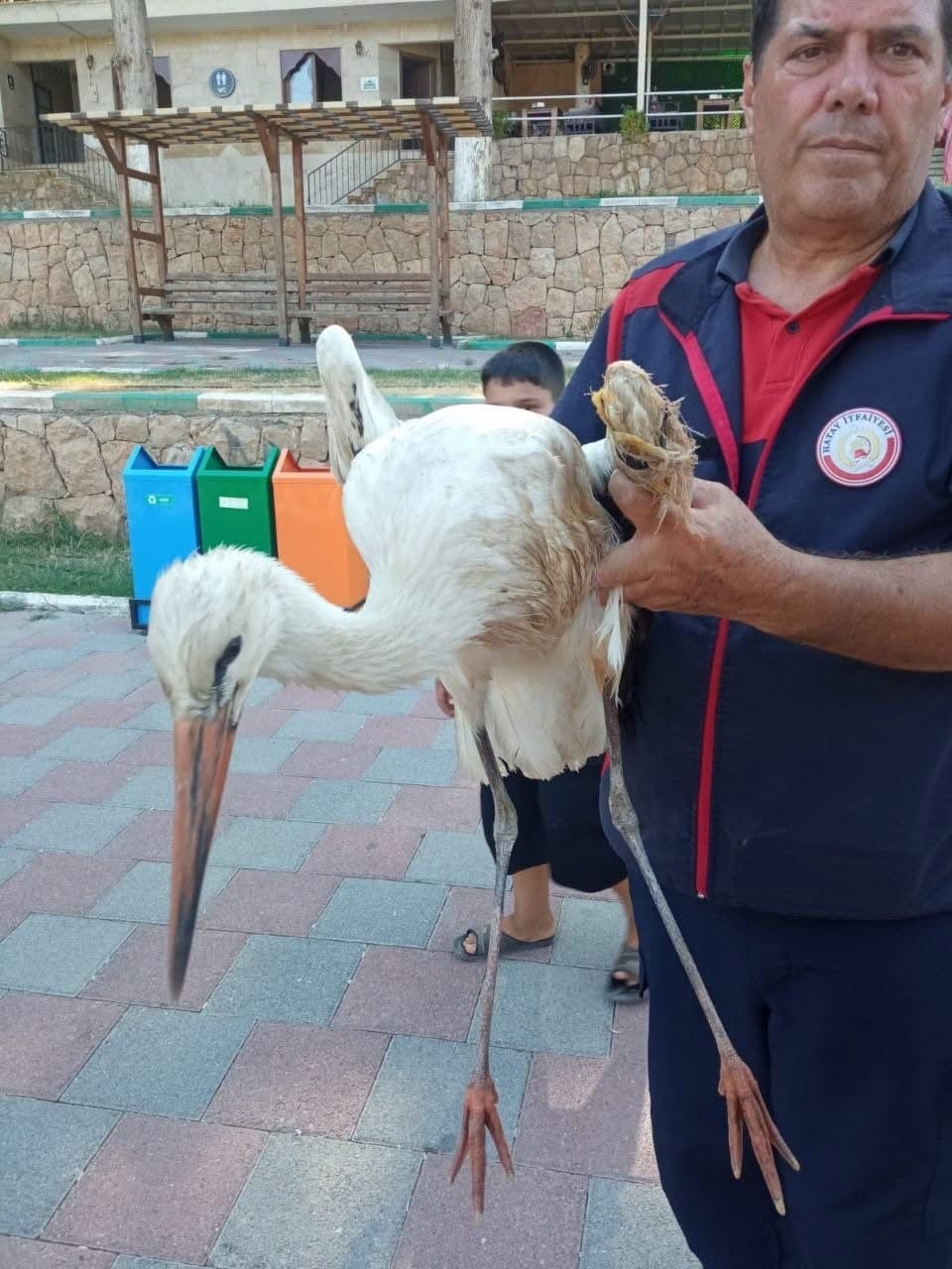 Reyhanlı Gölü'nde Mahsur Kalan Leylek İtfaiye Tarafından Kurtarıldı