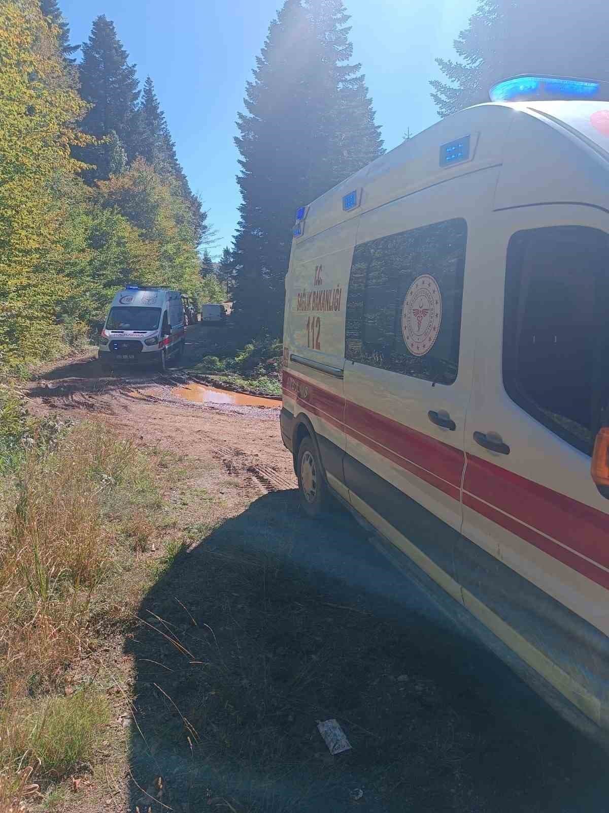 Mantar Toplama Yolculuğunda Traktör Kazası: Dede Hayatını Kaybetti, Torunu Yaralandı