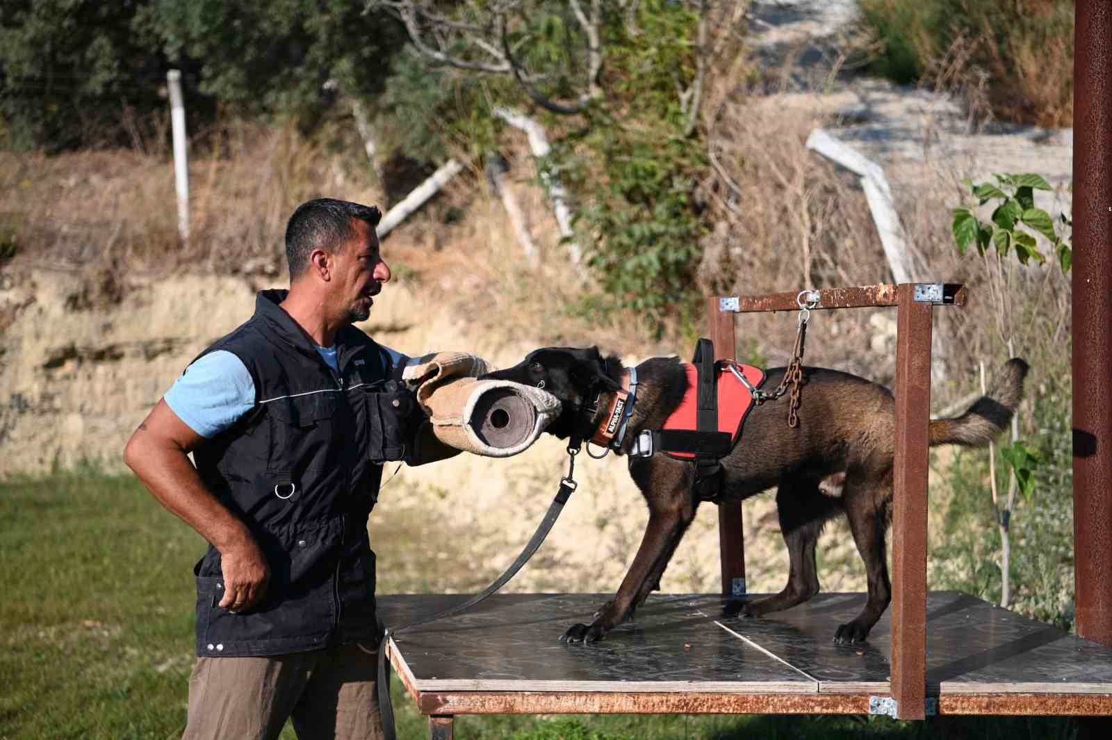 Yetiştirdiği Arama Köpekleriyle Doğal Afetlerde Hayat Kurtaran Tevfik Gül