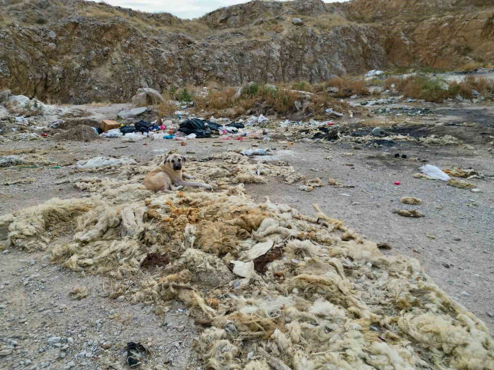 Kum Ocağı Çöplüğe Dönüşüyor: Afyonkarahisar'da Çevre Sorunu Ortaya Çıktı
