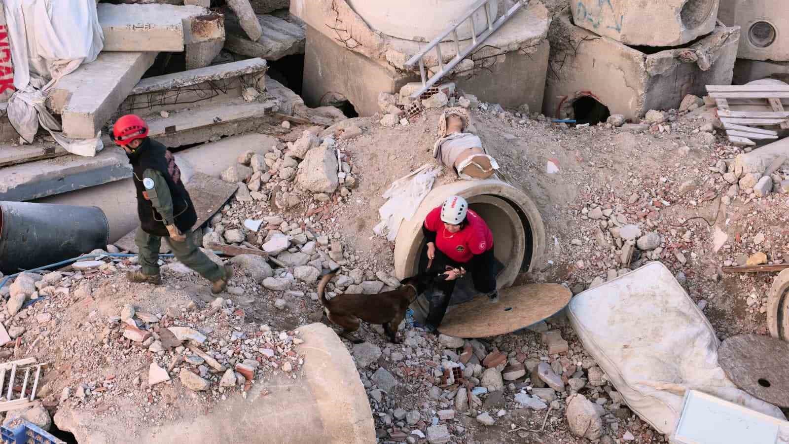İnegöl'de K9 Köpekler İçin Hayat Kurtaran Eğitim Merkezi Kuruldu