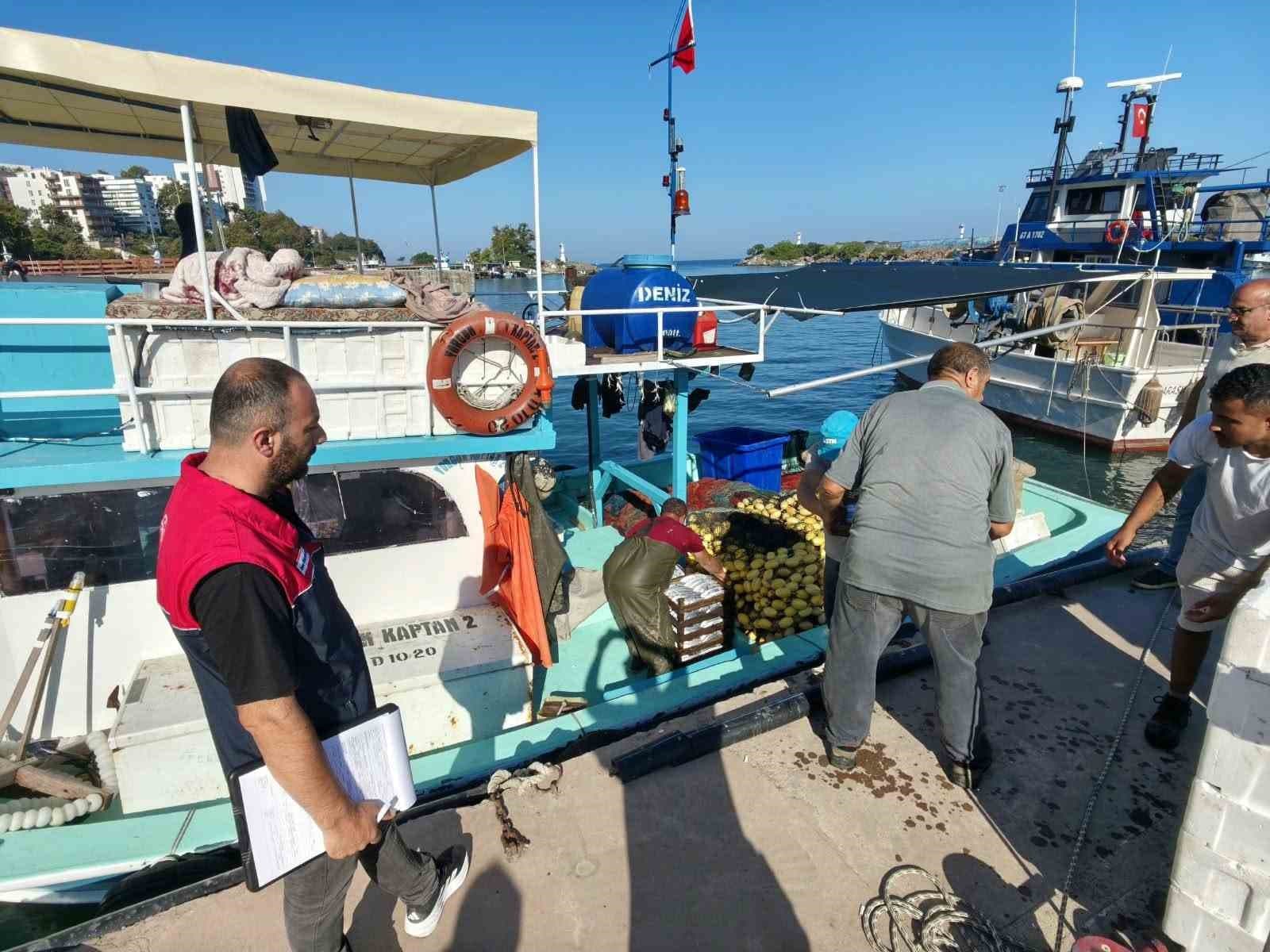 Akçakoca’da Palamut Sezonu Başladı: Balıkçı Faaliyetleri Yoğunlaştı
